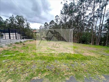HERMOSO TERRENO EN PAMPAVINTIMILLA