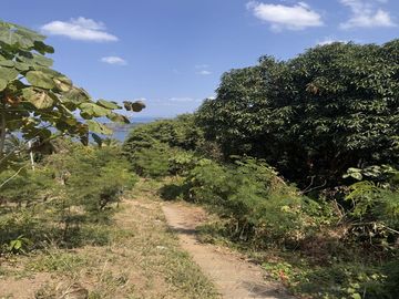 11,131 sqm Beach Lot with Right of Way for Sale in Bauan...