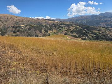 ¡OPORTUNIDAD ÚNICA DE INVERSIÓN AGRÍCOLA! VENTA DE...