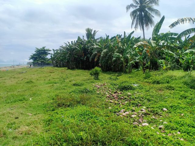 SDC Land for Sale Oriental Mindoro