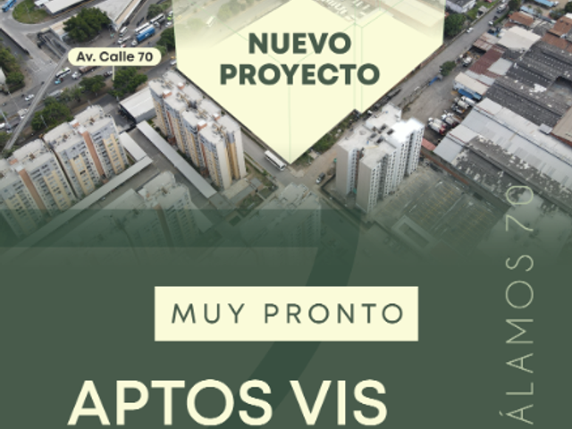 Alamos 70