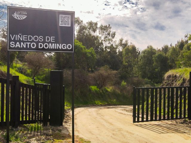 Vinedos de Santo Domingo