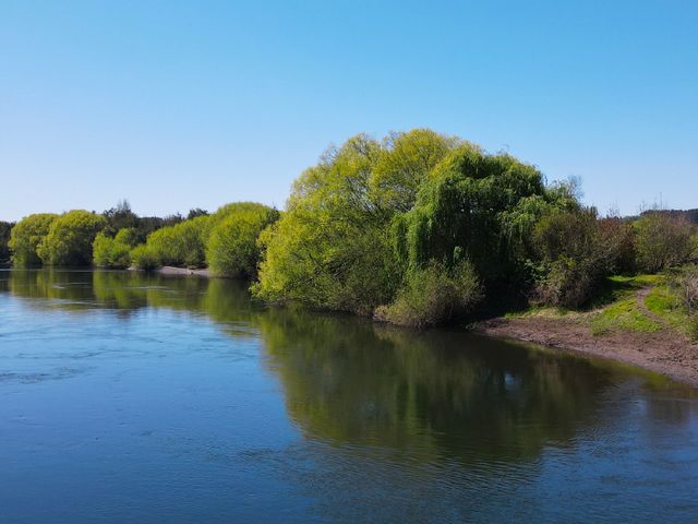 Raíces del Río Rahue